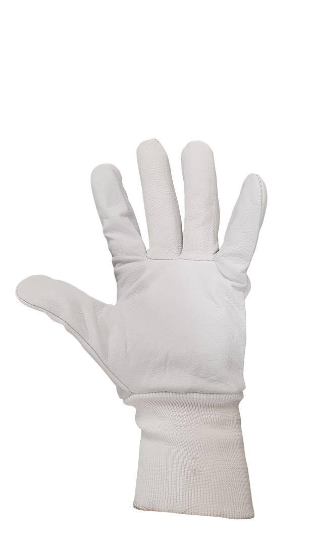 Short Goat Skin Leather Gloves