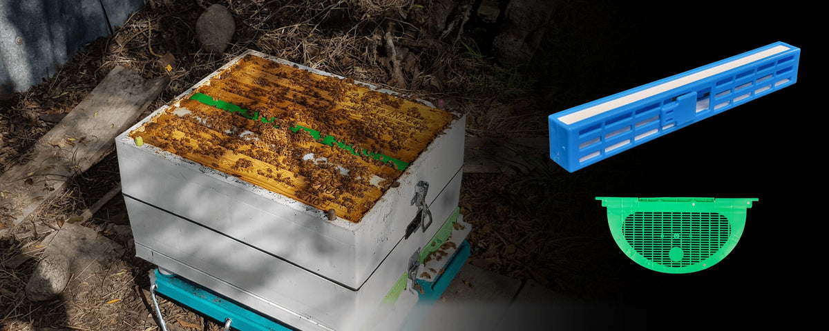 Queen Isolation & Excluder Cages for Hive Control | Beequip NZ