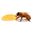 Beequip logo