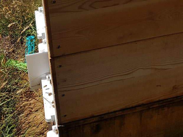 Beehive Entry divider sheet