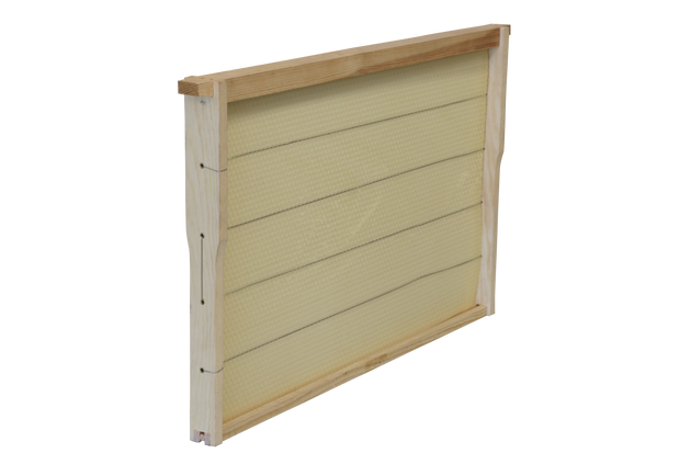 Wooden Frame fitted with Beeswax Foundation